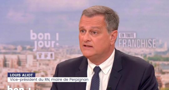 Louis Aliot condamné, TF1 voit rouge Louis Aliot condamné, TF1 voit rouge